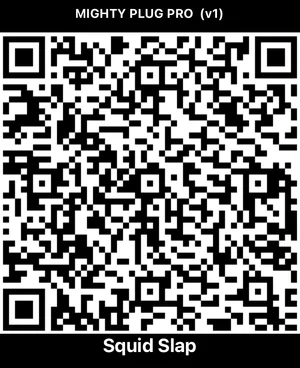 Mighty Plug Pro-Squid Slap.webp