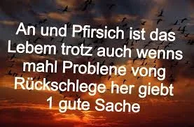 Suche Vong