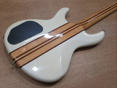 Screenshot 2022-11-26 at 20-11-34 Aria Pro II ASB-60 TBK 24 Bünde weiß eBay.webp