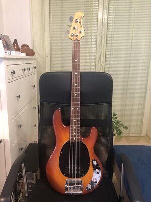 MM Stingray Bass 1989 Reserviert