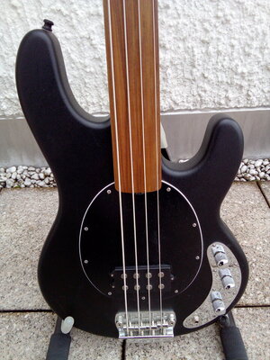 Suche Music Man SUB Fretless