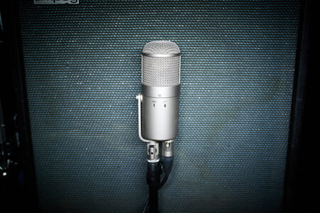 12" Speaker // Bass // Lautsprecher Gesucht
