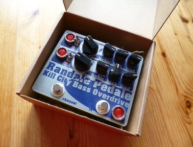 RANDALE PEDALE Kill City  (1).JPG