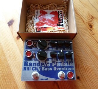 RANDALE PEDALE Kill City  (3).JPG