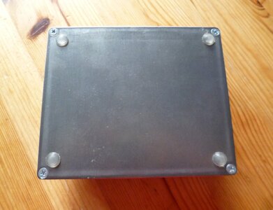 RANDALE PEDALE Kill City  (5).JPG