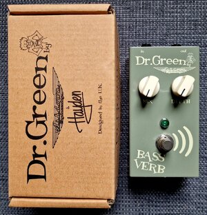 LETZTER PRICEDROP‼️Ashdown Dr. Green BassVerb