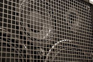 IMGP8819.jpg IMGP8819.jpg