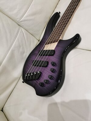 Dingwall ab1 5 strings