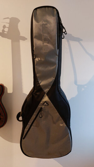 PRICE DROP - Alles muss raus! Ritter Double Bass Gigbag