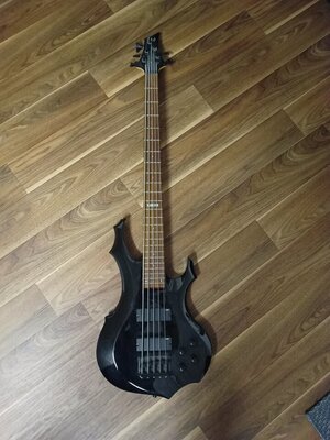 ESP LTD F-105