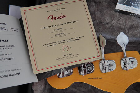 Fender American Pro II Precision Bass Farbe Mercury