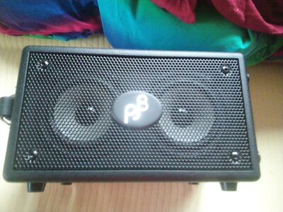 Phil Jones Double four bg-75 - Reserviert