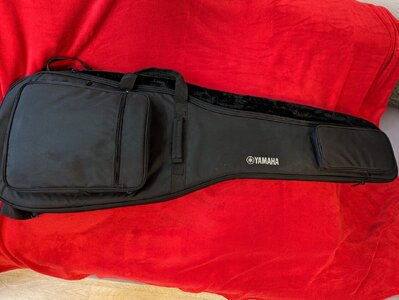 gigbag.jpg gigbag.jpg