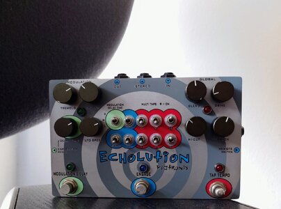Pigtronix Echolution V1/ gern auch Tausch