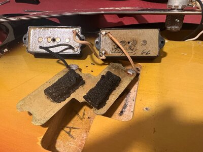 PU_Bottom_Both.jpeg PU_Bottom_Both.jpeg