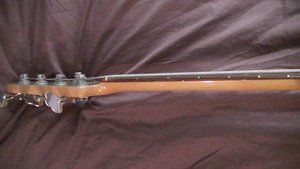 Roscoe 8.jpg Roscoe 8.jpg