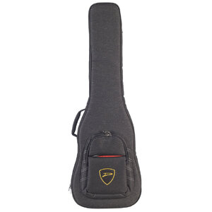 Suche Dingwall gigbag