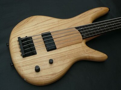 Suche Ibanez GWB1005 Gary Willis Signature fretless Bass