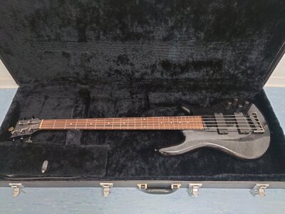 *Pricedrop* Spector NS2000/5 EMG aktiv + Case