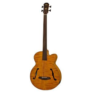 Aria FEB-FL Fretless Acoustic Bass | Thomastik-Flats & XL-Gurt