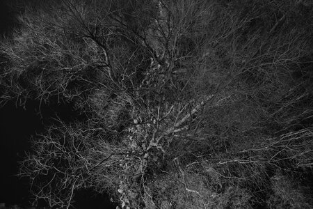 DSCF6773.JPG DSCF6773.JPG