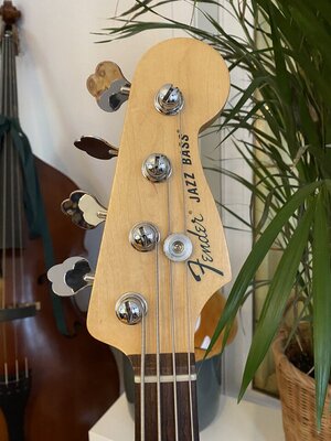 SUCHE: Fender Jazz Bass Hals