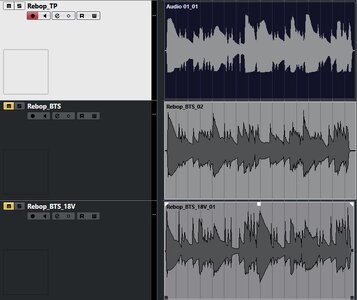 Waves_Rebop.JPG Waves_Rebop.JPG