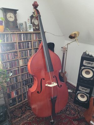 4/4 Kontrabass *Pricedrop*