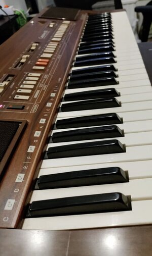 Casiotone_610_06.JPG