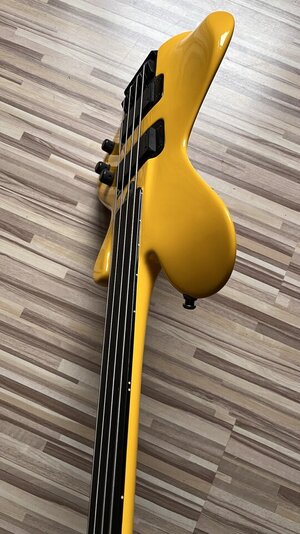 Reduced: Ferrari on Bass: LeFay Pangton headless fretless