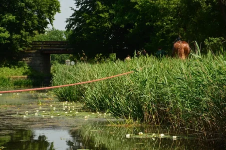 2015-07-05 AFRA Treideln DSC_0693 2048.webp 2015-07-05 AFRA Treideln DSC_0693 2048.webp