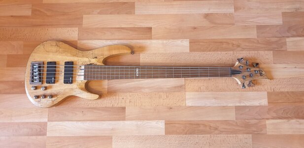 [Biete] LTD B-205SM FL fretless 5-Saiter Bass spaltet Maple natur satin