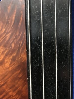 Steinberger Fretless