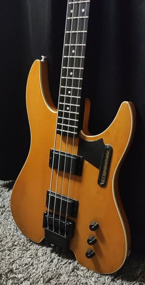 Steinberger XM2 Bass wer kan helfen ???