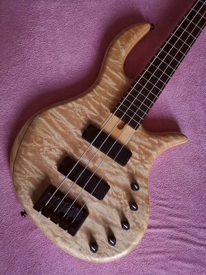 Auch Tausch! CORT ELRICK RB4 /JPS BASS