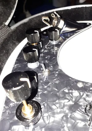 Sire MM Poti III.webp