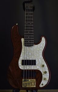 squier_2.jpg