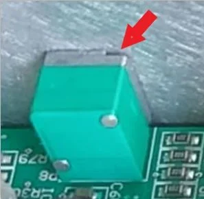 Poti Großaufnahme.webp