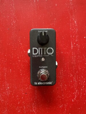 Tc Electronic Ditto Looper
