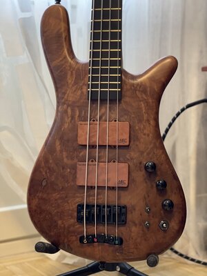 Warwick Streamer $$ 2008 Ltd