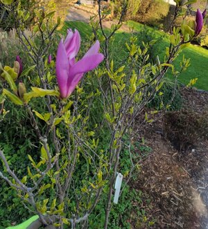 20230418_182813.jpg 20230418_182813.jpg