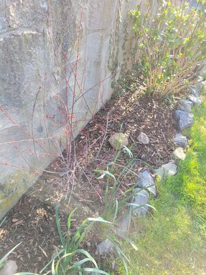 20230418_182705.jpg 20230418_182705.jpg