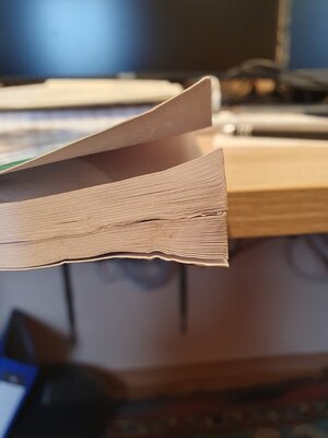 20230419_093540.jpg