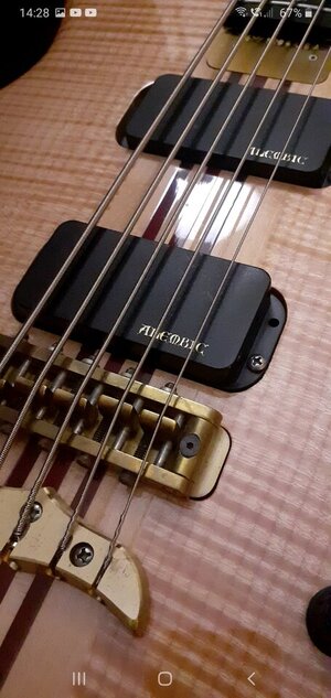ALEMBIC MARK KING SIGNATURE DELUXE 5💥PRICE DROP💥