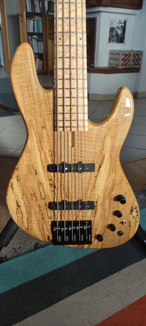 Fodera NYC spalted maple