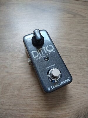 Ditto Looper tc electronic