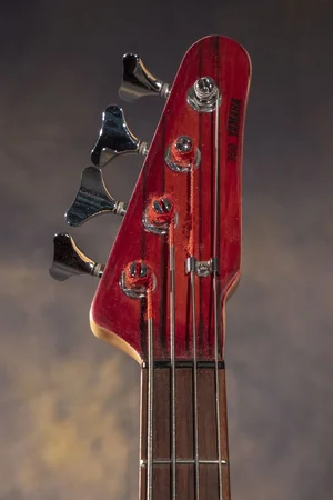 P1133683013.JPG P1133683013.JPG