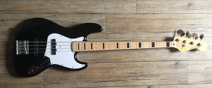 Suche Fender Precision Signature Bass Sting