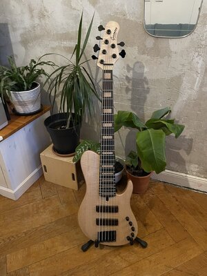 Grosmann 6 Saiter