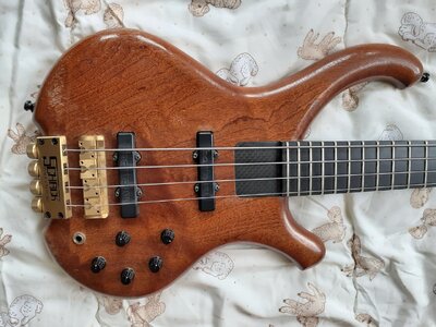 Schack B2 - 4 Saiter Bass gesucht!